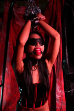 Shianxiu - Digital - Color