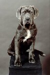 Neo - Her First Photo Shoot