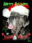 Neo - Happy Holidays